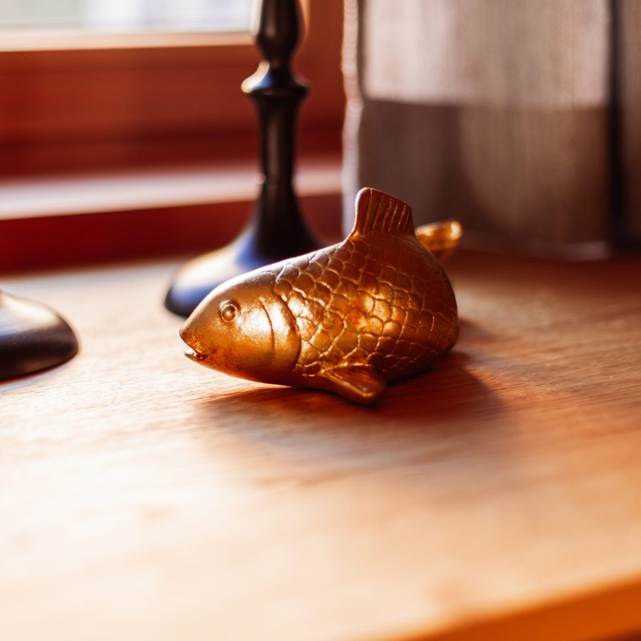 Detailshot Fisch