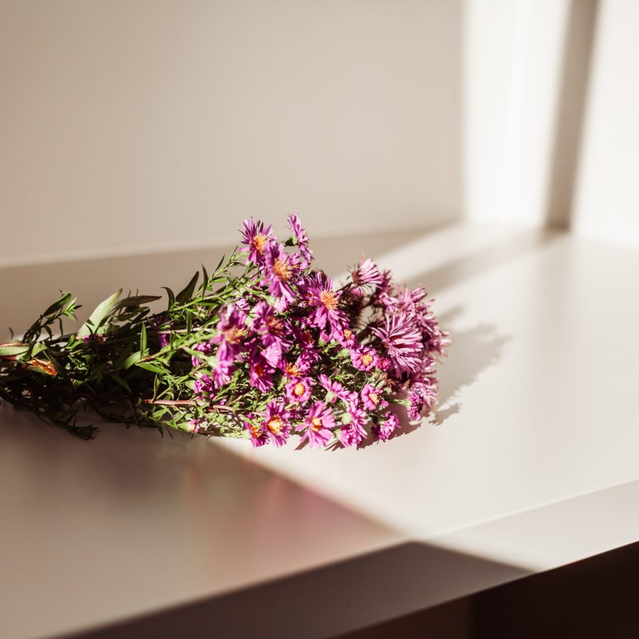 Detailshot Blumen